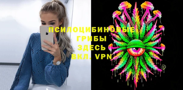 мдпв Михайловск